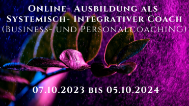 Online Weiterbildung Ausbildung Zertifizierter Systemischer Coach Augsburg München Systemisches Coaching Augsburg München online